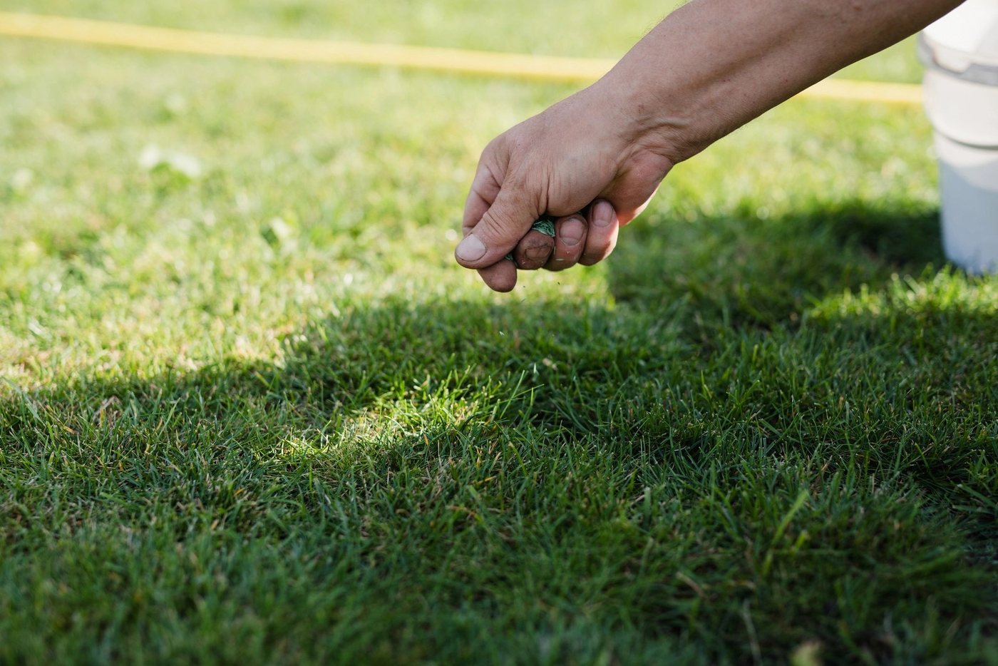 Hand spreading grass seed over a lawn